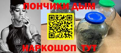 шишки Изобильный