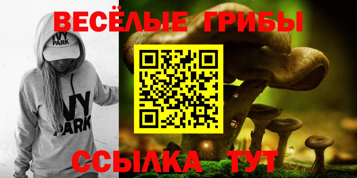Можга  Галлюциногенные грибы мицелий  Псилоцибиновые грибы мухоморы  Вход с VPN 